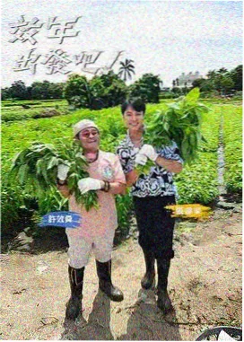 家的温度